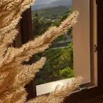 Гостевой дом Ca' Dea Gondola